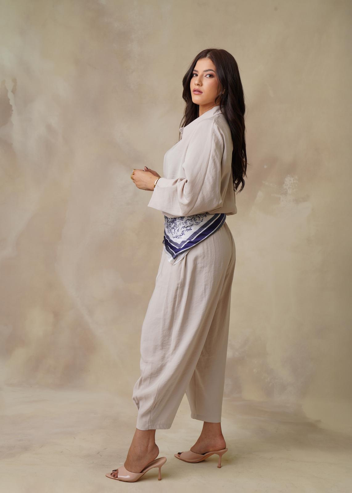 Set ALADIN