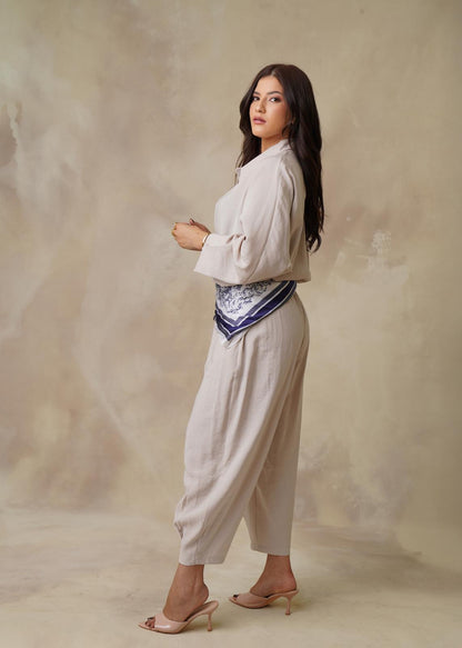 Set ALADIN
